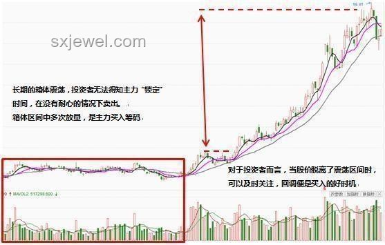 “龙鳞鲤”现象引发热议，未来珍稀水族市场趋势如何？
